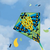 Воздушный змей Djeco Hiboo DJ02151 фото №3 — интернет-магазин Desire.md