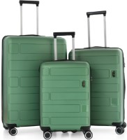 Комплект чемоданов CCS 5236 Set Metalic Green фото №1 — интернет-магазин Desire.md