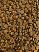 Сухой корм для собак Farma Friends Pluton Dog 20kg фото №2 — интернет-магазин Desire.md