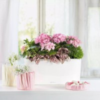 Ghiveci Lechuza Delta Premium 20 White imaginea #4 — magazin online Desire.md