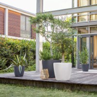 Ghiveci Lechuza Classico Color 35 Slate imaginea #4 — magazin online Desire.md