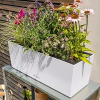 Ghiveci Lechuza Balconera Stone 50 Quarz White imaginea #4 — magazin online Desire.md