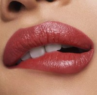 Ruj de buze Estee Lauder Pure Color Cream Lipstick 131 Bois De Rose imaginea #3 — magazin online Desire.md