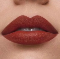 Ruj de buze Estee Lauder Pure Color Matte Lipstick 333 Persuasive imaginea #3 — magazin online Desire.md