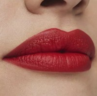 Помада для губ Estee Lauder Pure Color Matte Lipstick 559 Demand фото №3 — интернет-магазин Desire.md