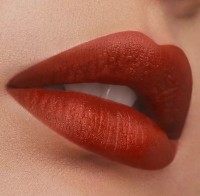 Ruj de buze Estee Lauder Pure Color Matte Lipstick 571 Independent imaginea #3 — magazin online Desire.md