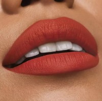 Ruj de buze Estee Lauder Pure Color Matte Lipstick 666 Captivated imaginea #3 — magazin online Desire.md