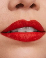 Ruj de buze Estee Lauder Pure Color Matte Lipstick 667 Deny All imaginea #3 — magazin online Desire.md