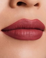 Ruj de buze Estee Lauder Pure Color Matte Lipstick 669 Stolen Heart imaginea #3 — magazin online Desire.md