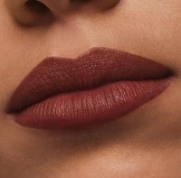 Помада для губ Estee Lauder Pure Color Matte Lipstick 806 No Concessions фото №3 — интернет-магазин Desire.md
