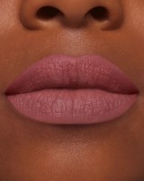 Помада для губ Estee Lauder Pure Color Matte Lipstick 855 Risk It All фото №3 — интернет-магазин Desire.md