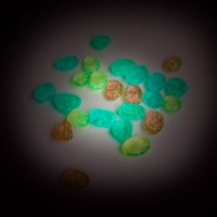 Set jucării Moulin Roty MR711384 imaginea #3 — magazin online Desire.md