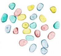 Set jucării Moulin Roty MR711384 imaginea #1 — magazin online Desire.md