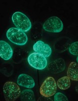 Set jucării Moulin Roty MR711384 imaginea #2 — magazin online Desire.md