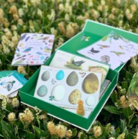 Детский набор для исcледований Moulin Roty MR712151 фото №2 — интернет-магазин Desire.md