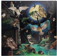 Детский набор для исcледований Moulin Roty MR712151 фото №4 — интернет-магазин Desire.md