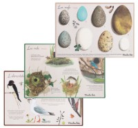 Детский набор для исcледований Moulin Roty MR712151 фото №5 — интернет-магазин Desire.md