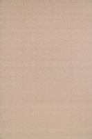 Ковёр CarpetLux Fikus 20467/508 0.80x1.50m фото №1 — интернет-магазин Desire.md