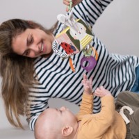 Jucărie pentru pătuturi si carucioare Taf Toys Gradina Urbana (13095) imaginea #6 — magazin online Desire.md