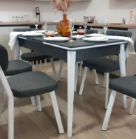 Обеденный стол Necoline Sigma Anthracite/White фото №1 — интернет-магазин Desire.md