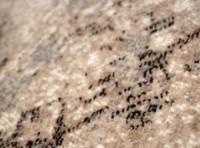 Covor CarpetLux Cappuccino 16139/11 0.80x5.00m imaginea #2 — magazin online Desire.md