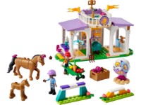 Конструктор Lego Friends: Horse Training (41746)