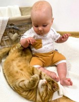 Costum pentru copii New Baby Perfect Summer 80cm (48468) imaginea #2 — magazin online Desire.md