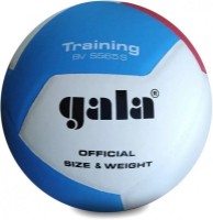 Мяч волейбольный Gala Training BV5565S