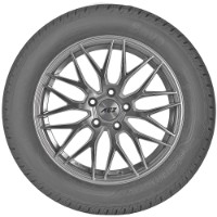 Шина Sava Eskimo SUV 2 235/55 R17 103H XL фото №2 — интернет-магазин Desire.md