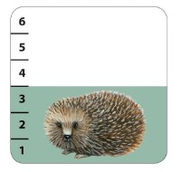 Настольная игра Djeco Batanimo DJ05177 фото №3 — интернет-магазин Desire.md