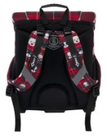 Школьный рюкзак Erich Krause Ergoline 51570 16L Cute Dog фото №2 — интернет-магазин Desire.md