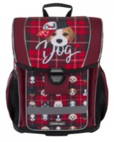 Школьный рюкзак Erich Krause Ergoline 51570 16L Cute Dog фото №7 — интернет-магазин Desire.md