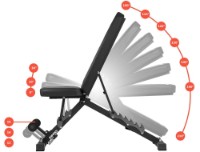 Скамья для силовых упражнений Zipro Jacked фото №9 — интернет-магазин Desire.md