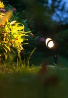 Садовый светильник Lampardi Shoot LP9061-7W фото №3 — интернет-магазин Desire.md