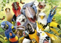 Пазл Educa 500 Watch The Birdie (19622)