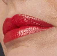 Ruj de buze Estee Lauder Pure Color Lipstick Creme 330 imaginea #3 — magazin online Desire.md