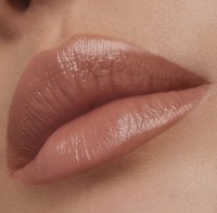 Помада для губ Estee Lauder Pure Color Lipstick Creme 866 фото №3 — интернет-магазин Desire.md