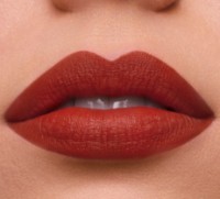 Помада для губ Estee Lauder Pure Color Lipstick Mate 333