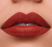 Помада для губ Estee Lauder Pure Color Lipstick Matte 333 фото №3 — интернет-магазин Desire.md