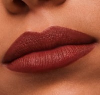 Помада для губ Estee Lauder Pure Color Lipstick Matte 806 фото №3 — интернет-магазин Desire.md