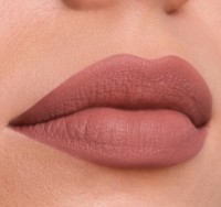 Помада для губ Estee Lauder Pure Color Lipstick Matte 816 фото №3 — интернет-магазин Desire.md