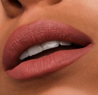 Помада для губ Estee Lauder Pure Color Lipstick Mate 828