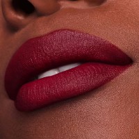 Помада для губ Estee Lauder Pure Color Lipstick Matte 888 фото №3 — интернет-магазин Desire.md
