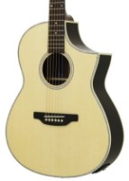 Chitară acustică Aria MSG-02 Natural imaginea #2 — magazin online Desire.md