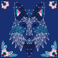 Set pentru creativitate Janod String Art Animal Pictures J07912 imaginea #1 — magazin online Desire.md