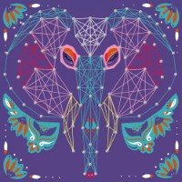 Set pentru creativitate Janod String Art Animal Pictures J07912 imaginea #2 — magazin online Desire.md