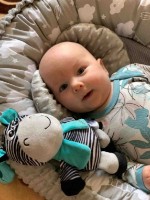 Гнездо для малыша New Baby Minky Clouds Grey (42796) фото №5 — интернет-магазин Desire.md