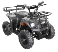 Cvadrocicleta RT RTM56