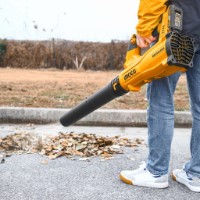 Воздуходувка Ingco CABLI20428 фото №2 — интернет-магазин Desire.md