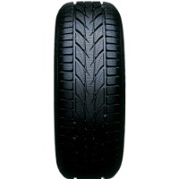 Шина Toyo Snowprox S953 225/60 R17 99V фото №2 — интернет-магазин Desire.md